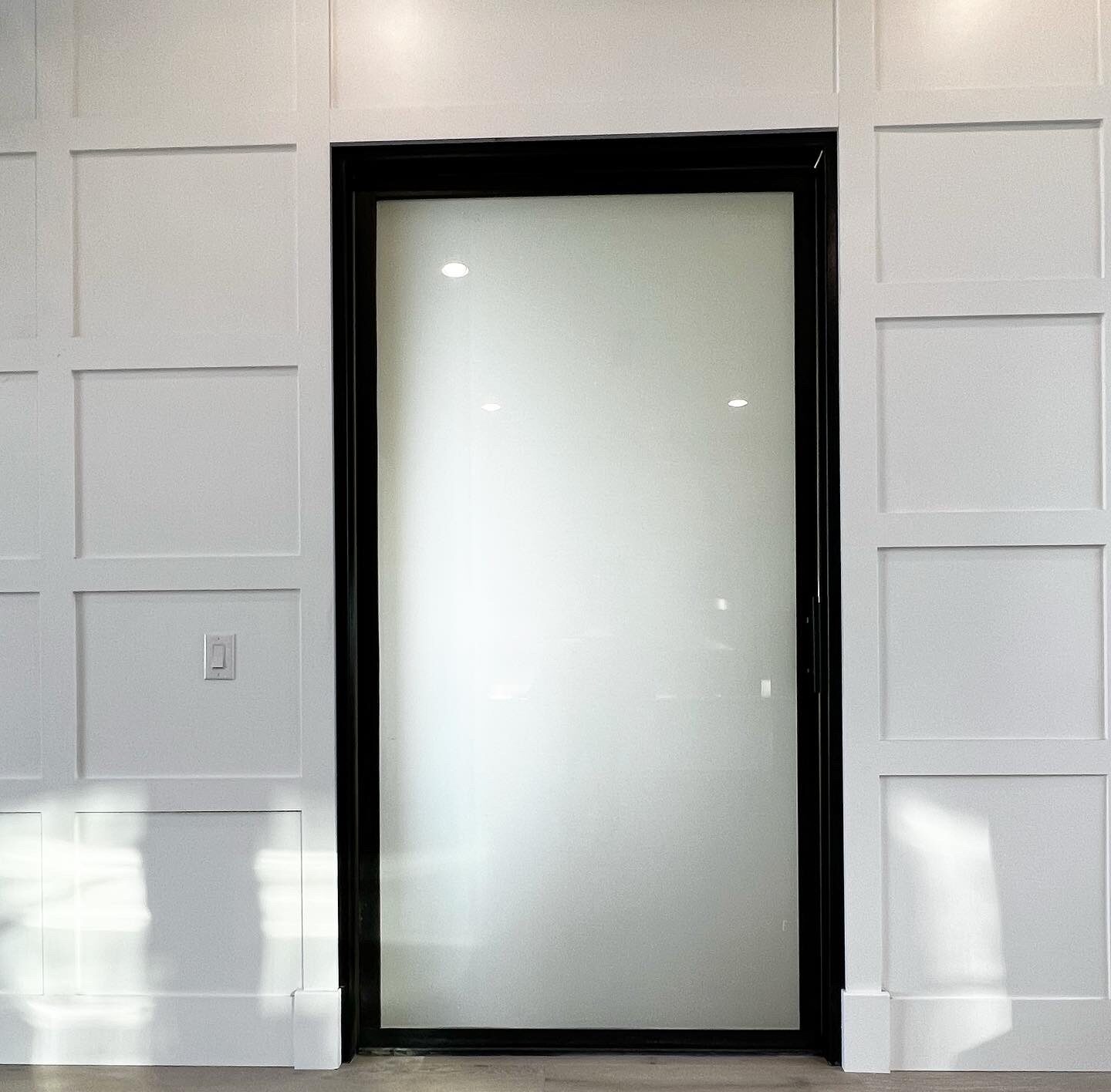 frosted glass pivot door